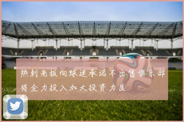 热刺老板向球迷承诺不出售俱乐部将全力投入加大投资力度